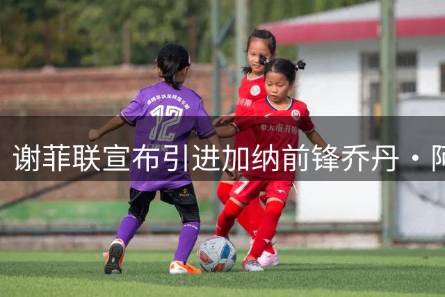 谢菲联宣布引进加纳前锋乔丹·阿尤